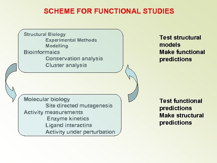 SCHEME FOR FUNCTIONAL STUDIES Structural Biology Experimental Methods Modelling Bioinformaics Conservation analysis Cluster analysis