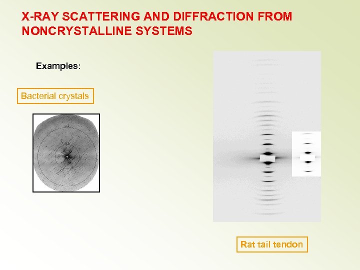 X-RAY SCATTERING AND DIFFRACTION FROM NONCRYSTALLINE SYSTEMS Examples: Bacterial crystals Rat tail tendon 