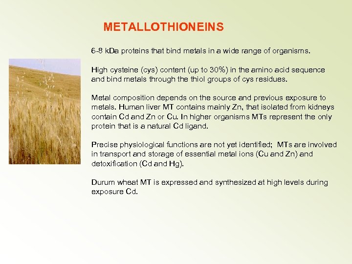 METALLOTHIONEINS 6 -8 k. Da proteins that bind metals in a wide range of