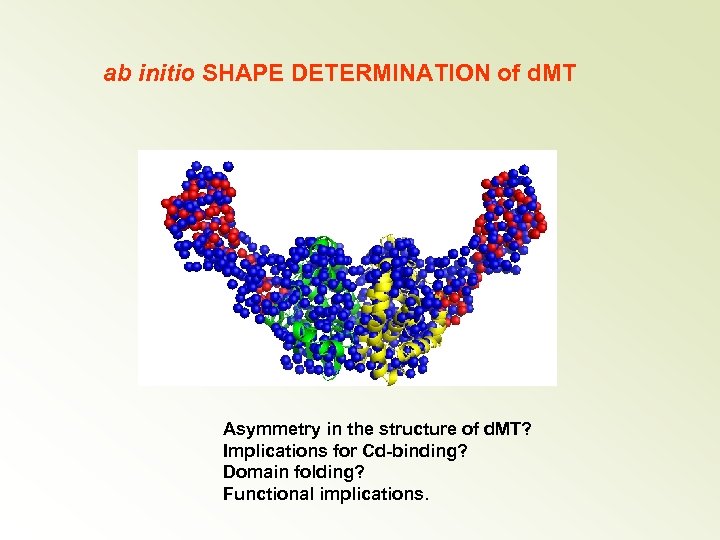 ab initio SHAPE DETERMINATION of d. MT Asymmetry in the structure of d. MT?