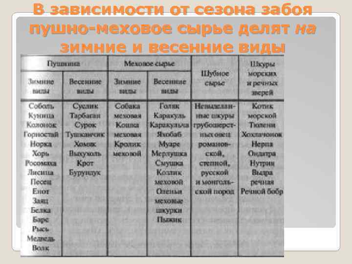 В зависимости от сезона забоя пушно-меховое сырье делят на зимние и весенние виды 