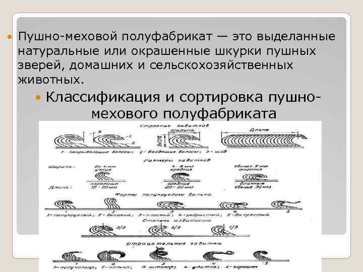  Пушно-меховой полуфабрикат — это выделанные натуральные или окрашенные шкурки пушных зверей, домашних и