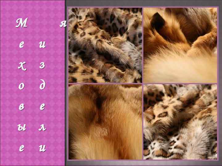 М е и х з о в д е ы л е и я