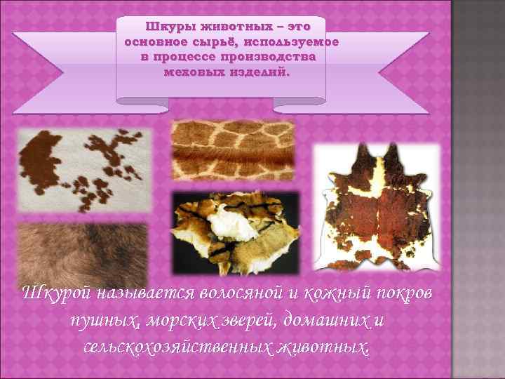 Шкуры животных – это основное сырьё, используемое в процессе производства меховых изделий. Шкурой называется