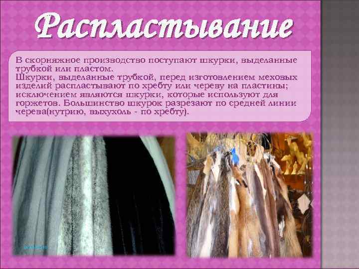 Распластывание В скорняжное производство поступают шкурки, выделанные трубкой или пластом. Шкурки, выделанные трубкой, перед