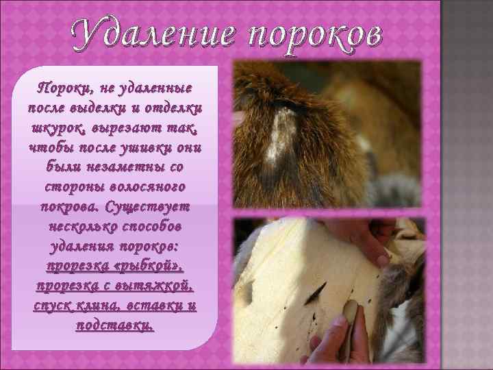 Удаление пороков Пороки, не удаленные после выделки и отделки шкурок, вырезают так, чтобы после