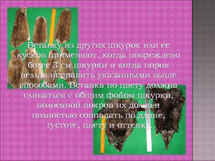 Вставку из других шкурок или ее кусков применяют, когда повреждено более 3 см шкурки
