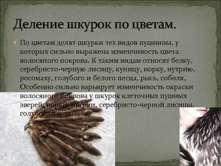 Деление шкурок по цветам. По цветам делят шкурки тех видов пушнины, у которых сильно