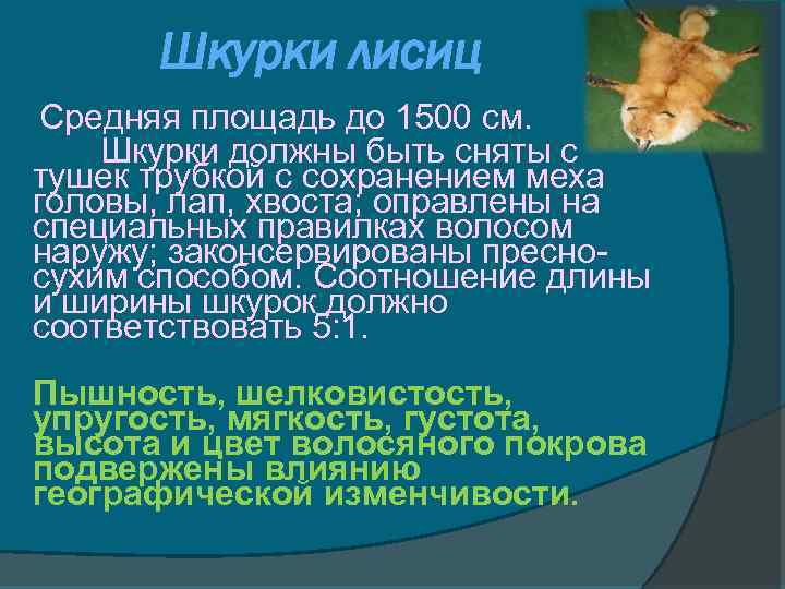 Шкурки лисиц Средняя площадь до 1500 см. Шкурки должны быть сняты с тушек трубкой