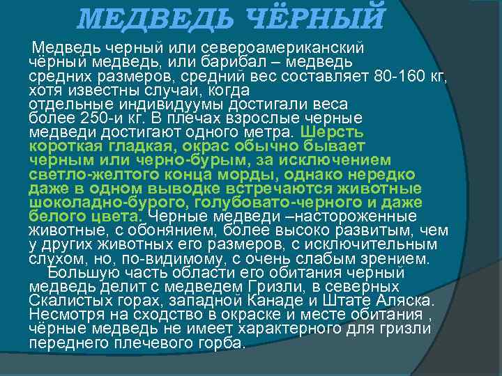 МЕДВЕДЬ ЧЁРНЫЙ Медведь черный или североамериканский чёрный медведь, или барибал – медведь средних размеров,