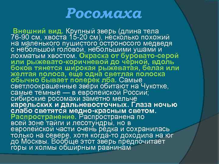 Росомаха Внешний вид. Крупный зверь (длина тела 76 -90 см, хвоста 15 -20 см),