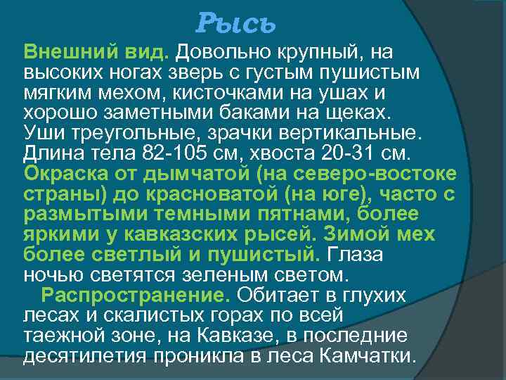 Рысь Внешний вид. Довольно крупный, на высоких ногах зверь с густым пушистым мягким мехом,