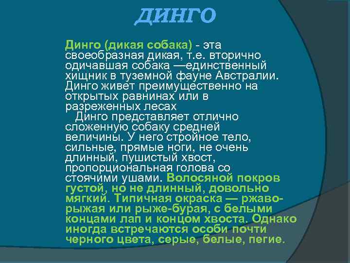 ДИНГО Динго (дикая собака) - эта своеобразная дикая, т. е. вторично одичавшая собака —единственный