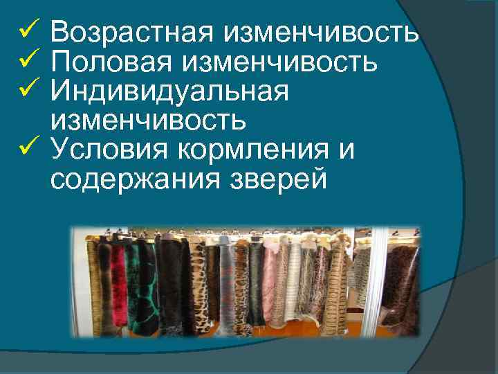 ü Возрастная изменчивость ü Половая изменчивость ü Индивидуальная изменчивость ü Условия кормления и содержания
