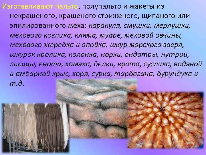 Изготавливают пальто, полупальто и жакеты из некрашеного, крашеного стриженого, щипаного или эпилированного меха: каракуля,