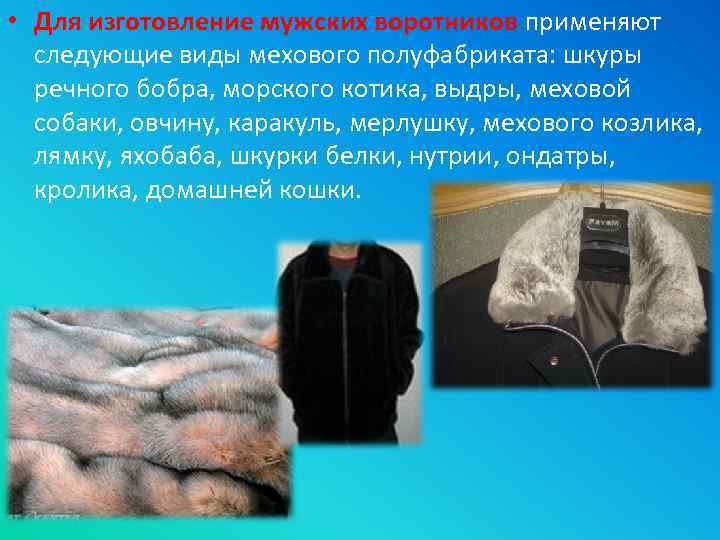  • Для изготовление мужских воротников применяют следующие виды мехового полуфабриката: шкуры речного бобра,