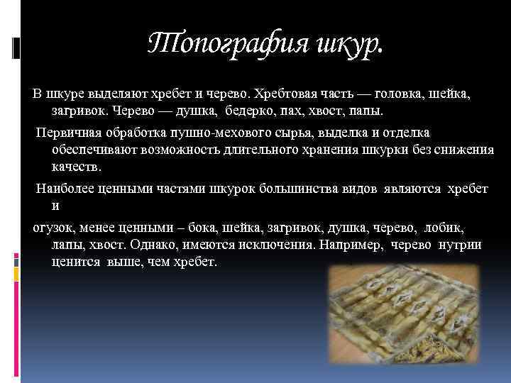 Топография шкур. В шкуре выделяют хребет и черево. Хребтовая часть — головка, шейка, загривок.