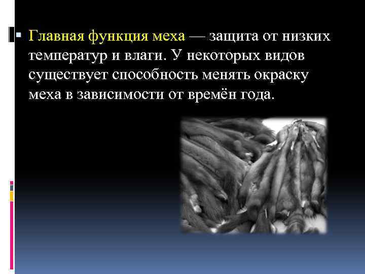  Главная функция меха — защита от низких температур и влаги. У некоторых видов