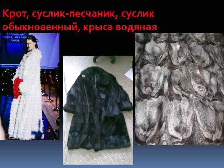 Крот, суслик-песчаник, суслик обыкновенный, крыса водяная. 