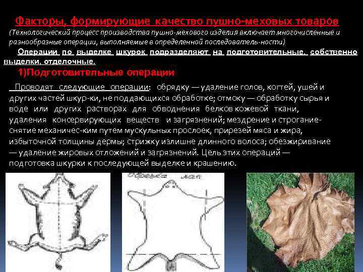 Операции по выделке шкурок подразделяют на подготовительные, собственно выделки и крашения, отделочные. Подготовительные операции