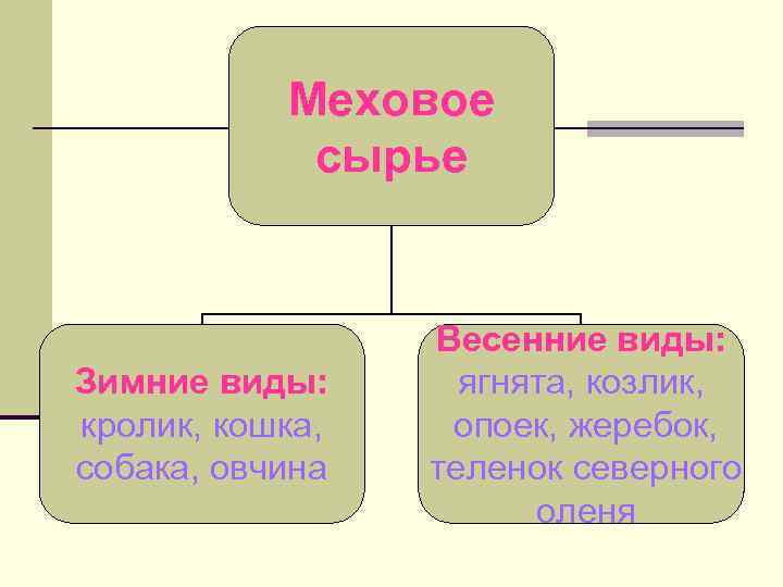 Меховое сырье Зимние виды: кролик, кошка, собака, овчина Весенние виды: ягнята, козлик, опоек, жеребок,