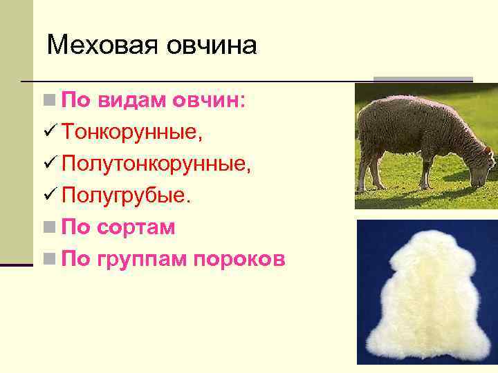 Меховая овчина n По видам овчин: ü Тонкорунные, ü Полутонкорунные, ü Полугрубые. n По