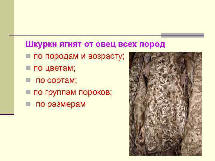 Шкурки ягнят от овец всех пород n по породам и возрасту; n по цветам;