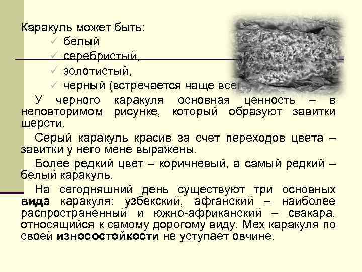 Каракуль может быть: ü белый ü серебристый, ü золотистый, ü черный (встречается чаще всего)