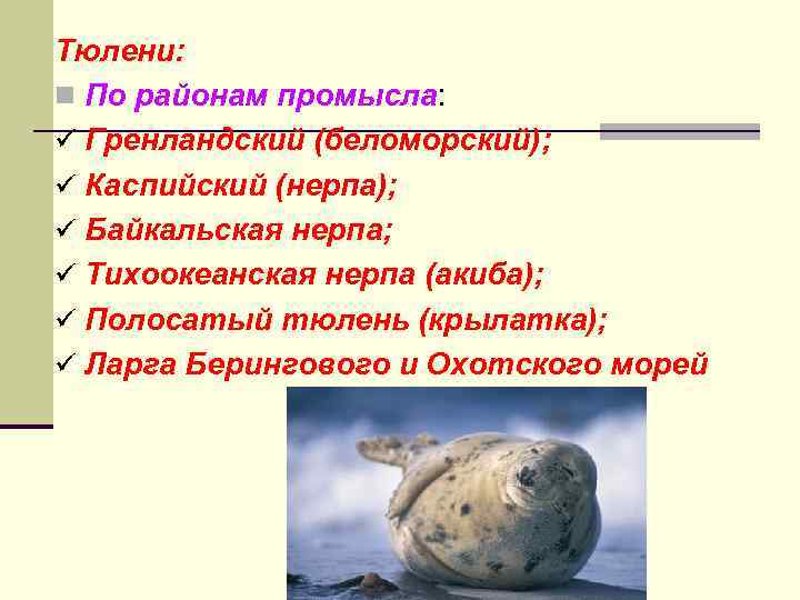 Тюлени: n По районам промысла: ü Гренландский (беломорский); ü Каспийский (нерпа); ü Байкальская нерпа;