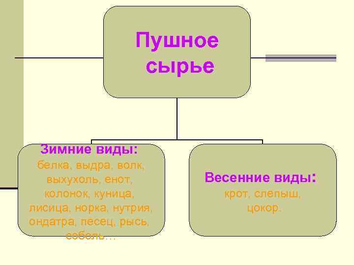 Пушное сырье Зимние виды: белка, выдра, волк, выхухоль, енот, колонок, куница, лисица, норка, нутрия,