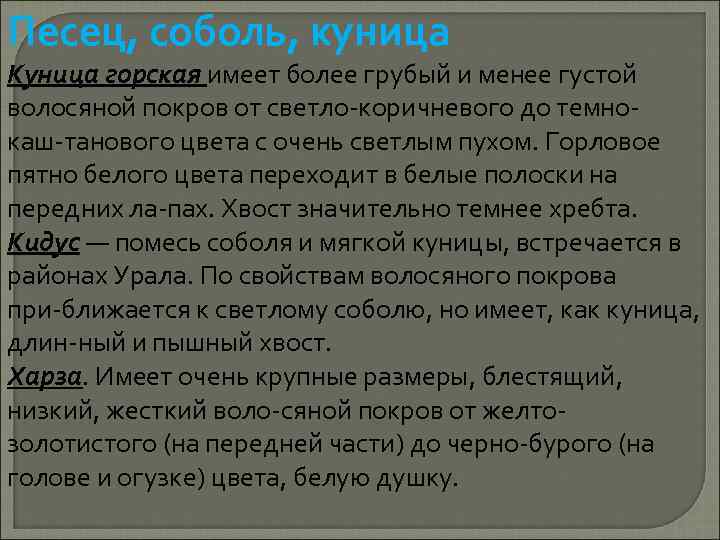 Песец, соболь, куница Куница горская имеет более грубый и менее густой волосяной покров от