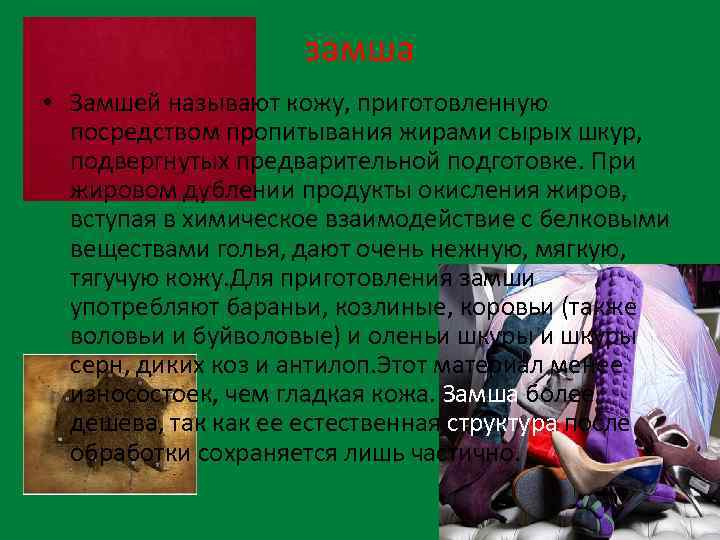 замша • Замшей называют кожу, приготовленную посредством пропитывания жирами сырых шкур, подвергнутых предварительной подготовке.