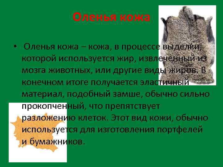 Оленья кожа • Оленья кожа – кожа, в процессе выделки, которой используется жир, извлеченный