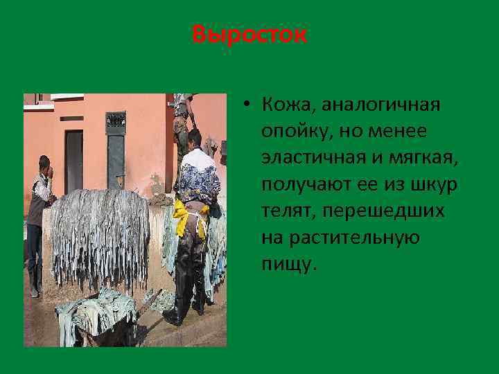 Выросток • Кожа, аналогичная опойку, но менее эластичная и мягкая, получают ее из шкур