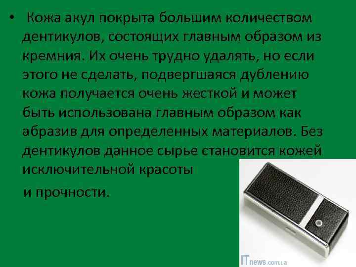  • Кожа акул покрыта большим количеством дентикулов, состоящих главным образом из кремния. Их
