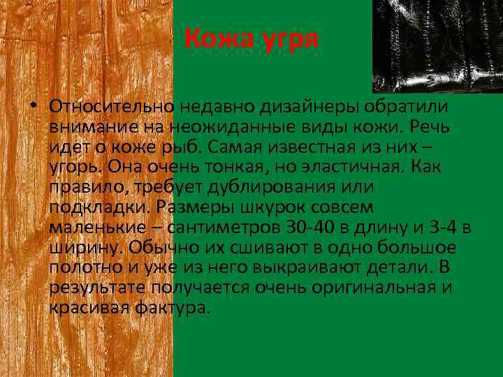 Кожа угря • Относительно недавно дизайнеры обратили внимание на неожиданные виды кожи. Речь идет