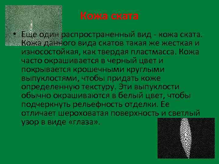Кожа ската • Еще один распространенный вид - кожа ската. Кожа данного вида скатов
