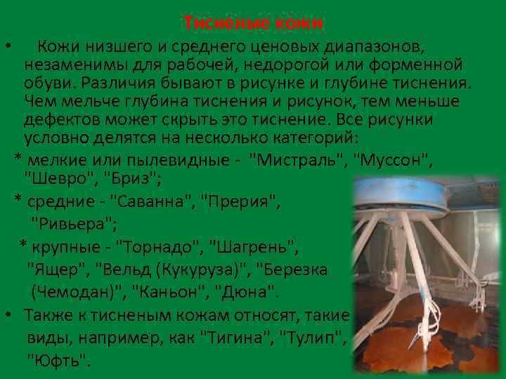 Тисненые кожи • Кожи низшего и среднего ценовых диапазонов, незаменимы для рабочей, недорогой или