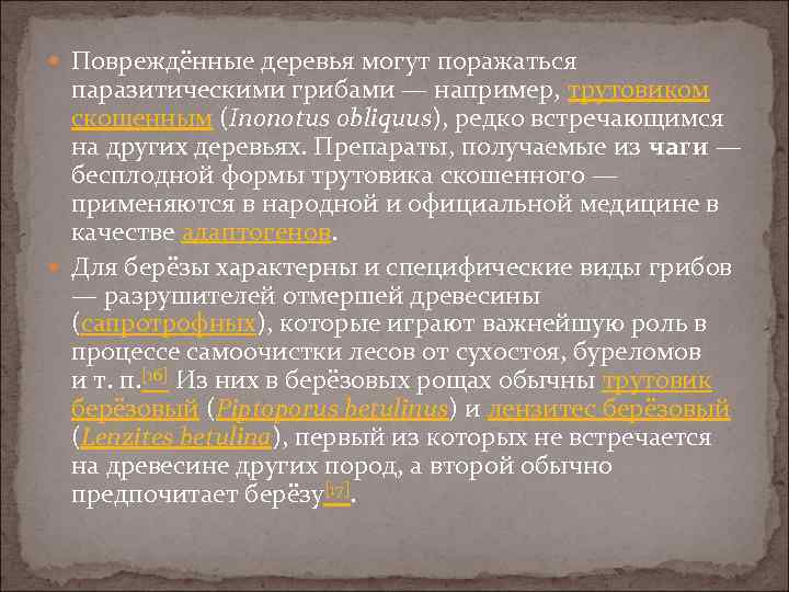  Повреждённые деревья могут поражаться паразитическими грибами — например, трутовиком скошенным (Inonotus obliquus), редко