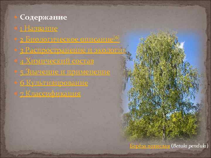  Содержание 1 Название 2 Биологическое описание[6] 3 Распространение и экология 4 Химический состав