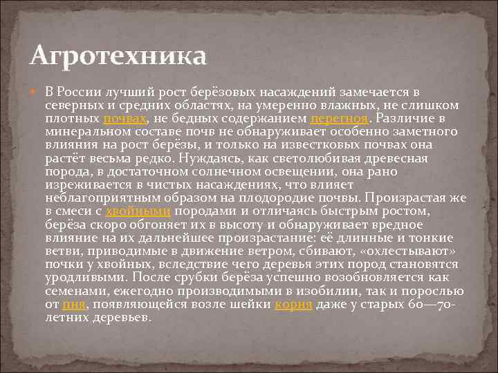 Агротехника В России лучший рост берёзовых насаждений замечается в северных и средних областях, на