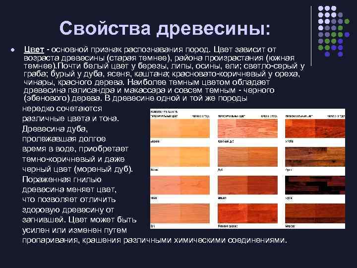 Свойства древесины: l Цвет - основной признак распознавания пород. Цвет зависит от возраста древесины