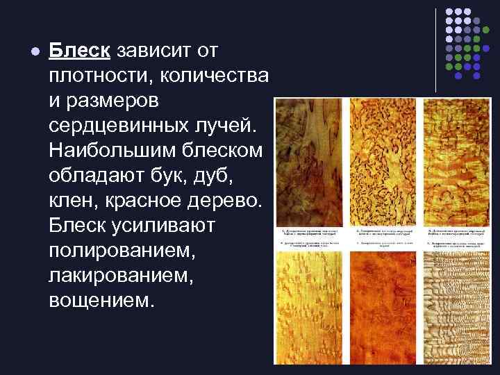l Блеск зависит от плотности, количества и размеров сердцевинных лучей. Наибольшим блеском обладают бук,