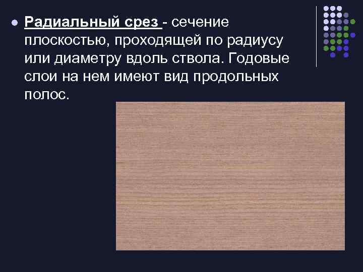 l Радиальный срез - сечение плоскостью, проходящей по радиусу или диаметру вдоль ствола. Годовые