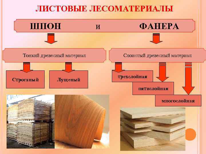 Производство древесных материалов технология 7 класс презентация