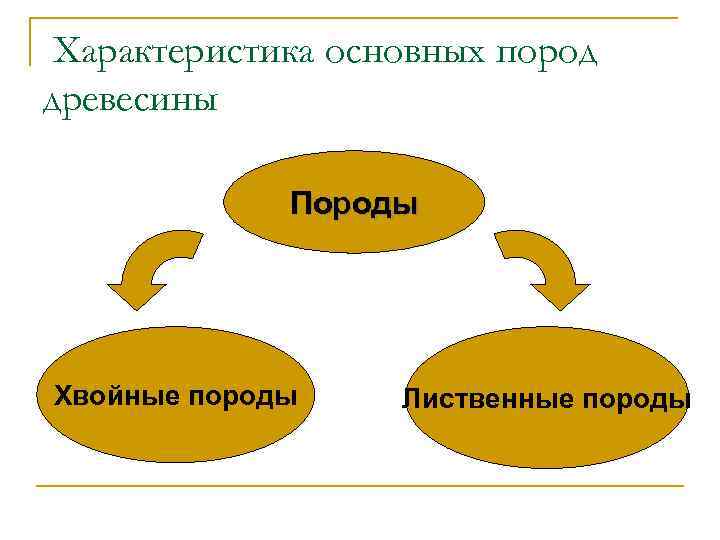 Характеристика основных пород древесины Породы Хвойные породы Лиственные породы 