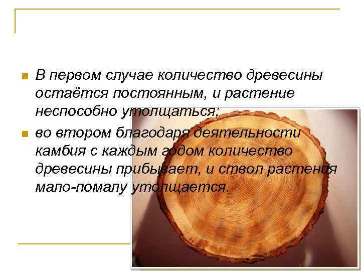 n n В первом случае количество древесины остаётся постоянным, и растение неспособно утолщаться; во