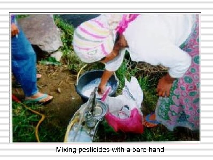 Mixing pesticides with a bare hand 