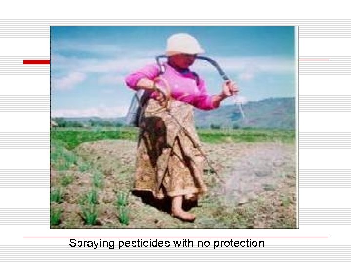 Spraying pesticides with no protection 
