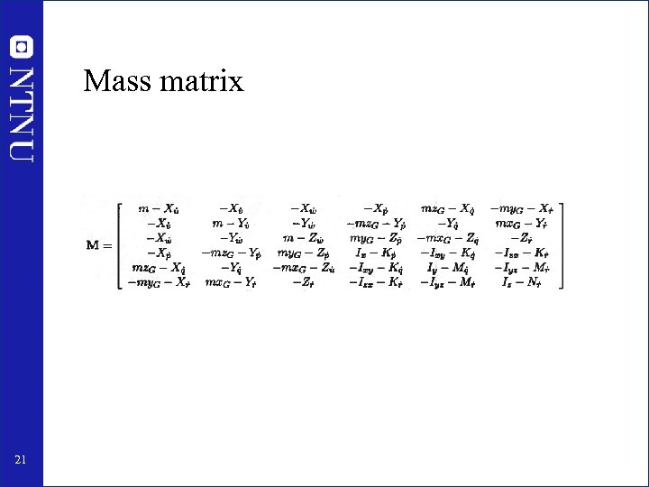 Mass matrix 21 